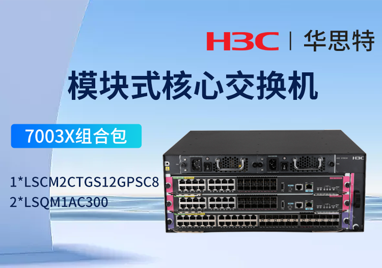 H3C S7003X交换机套包 16端口千兆SFP光接口+12端口万兆光接口 交换路由引擎模块LSCM2CTGS12GPSC8