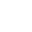 华思特